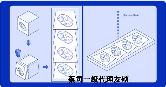 克孜勒苏柯尔克孜蔡司克孜勒苏柯尔克孜扫描电镜